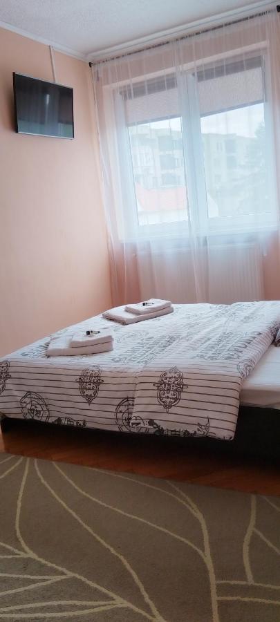 FăgăraşApartament Giuliaアパートメント エクステリア 写真